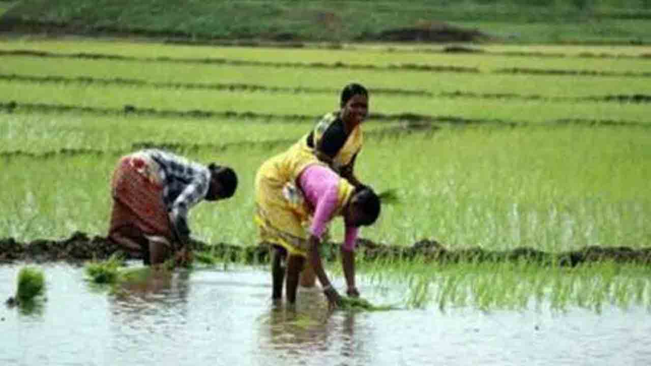 రైతు భరోసా నిధులకు కోత!.. రాష్ట్ర బడ్జెట్‌లో చెప్పింది 18వేల కోట్లు