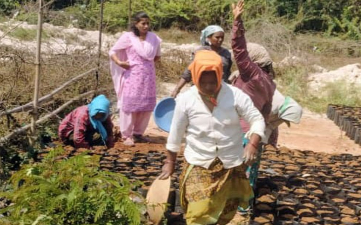 నర్సరీలో మొక్కలు ఎండిపోకుండా నిరందించాలి : కట్టంగూర్ సర్పంచ్ శ్యామల