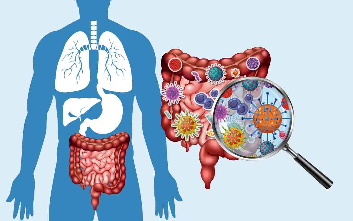 SIBO | భోజ‌నం చేసిన త‌రువాత ఈ స‌మ‌స్య‌లు వ‌స్తున్నాయా..? దానికి కార‌ణం ఏమిటో, ఎలా నివారించాలో తెలుసుకోండి..!