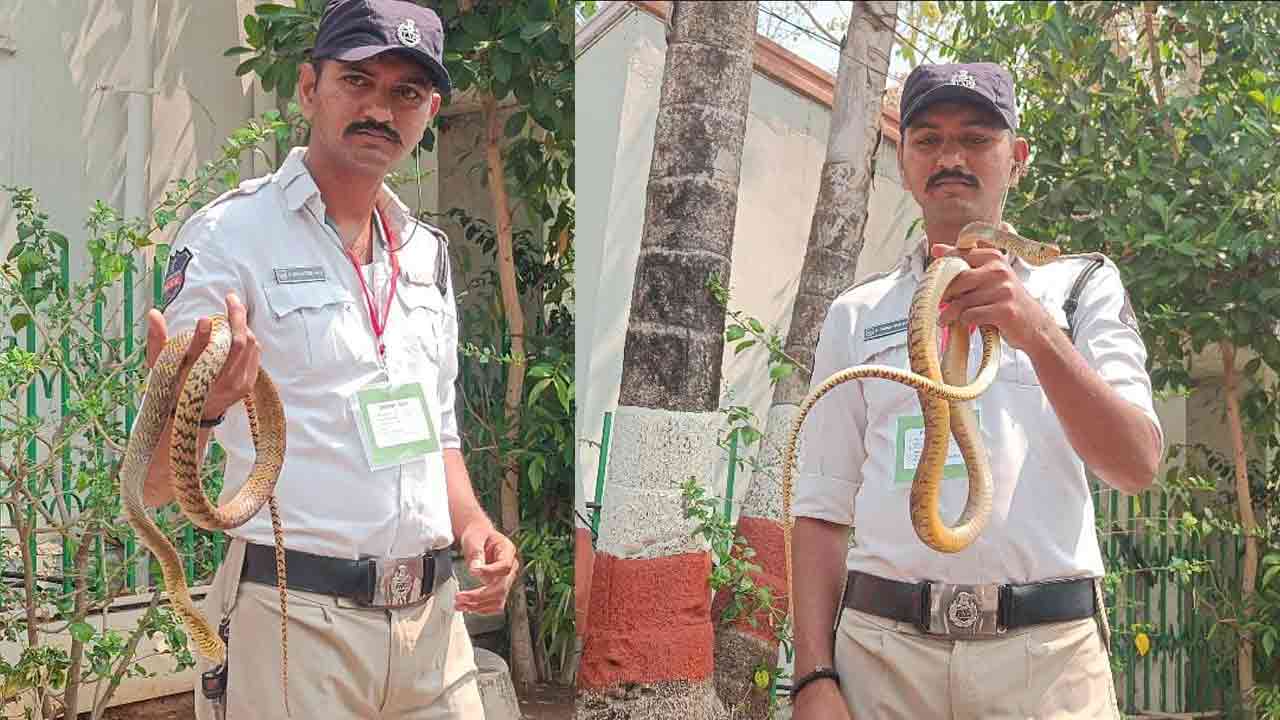 బడ్జెట్ సమావేశాల వేళ.. అసెంబ్లీ ఆవరణలో పాము కలకలం