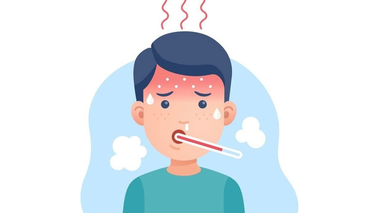 Typhoid: డ్ర‌గ్ రెసిస్టెంట్‌గా టైఫాయిడ్‌.. భార‌తీయుల‌పై తీవ్ర ఆర్థిక‌భారం.. తేల్చిన లాన్సెట్ స్ట‌డీ