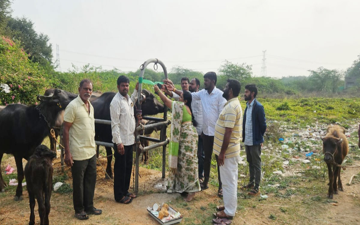 ‘పశువులకు గాలికుంటు వ్యాధి నివారణ టీకాలు వేయించాలి’