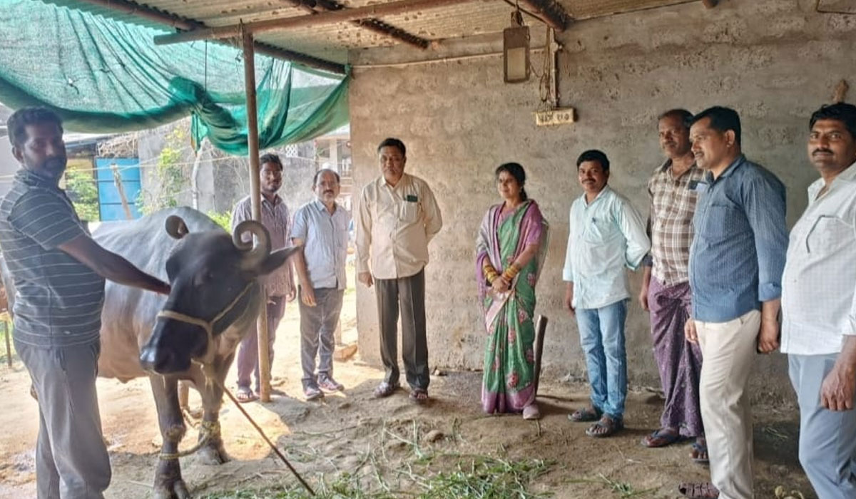 Ramagiri | గాలికుంటు వ్యాధి నివారణకు పశువులకు టీకాలు వేయించాలి.. జిల్లా పశువర్థక శాఖ అధికారి వేణుగోపాల్ రావు
