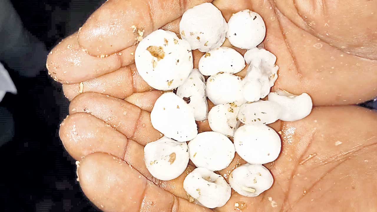 6 రోజులపాటు భారీ వర్షాలు