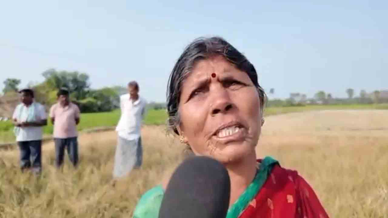 Farmer | మూడెకరాల పొలం మొత్తం ఎండిపోయింది.. పిల్లలను ఏం చేసి పెంచాలె : పాలకుర్తి మహిళా రైతు ఆవేదన
