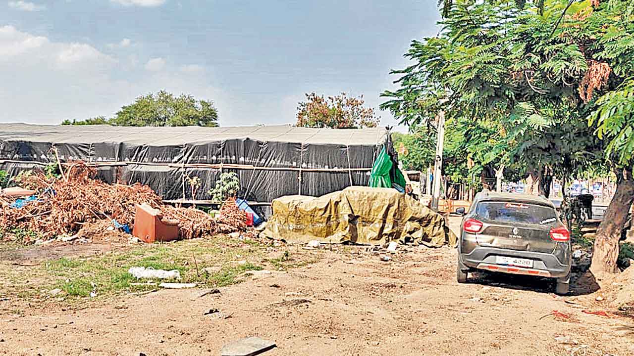 షాడో సీఎంవో భూ దందా!