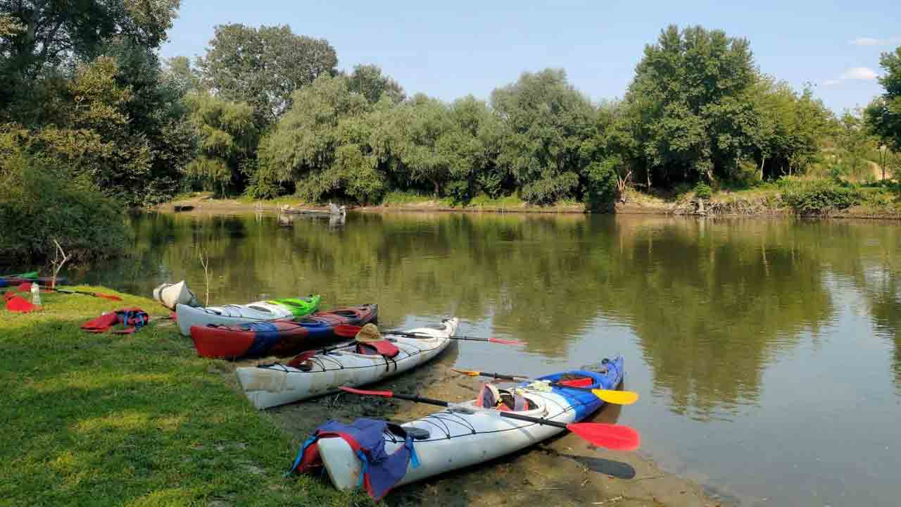 కనోయింగ్‌ కోచ్‌ పోస్టుకు దరఖాస్తులు