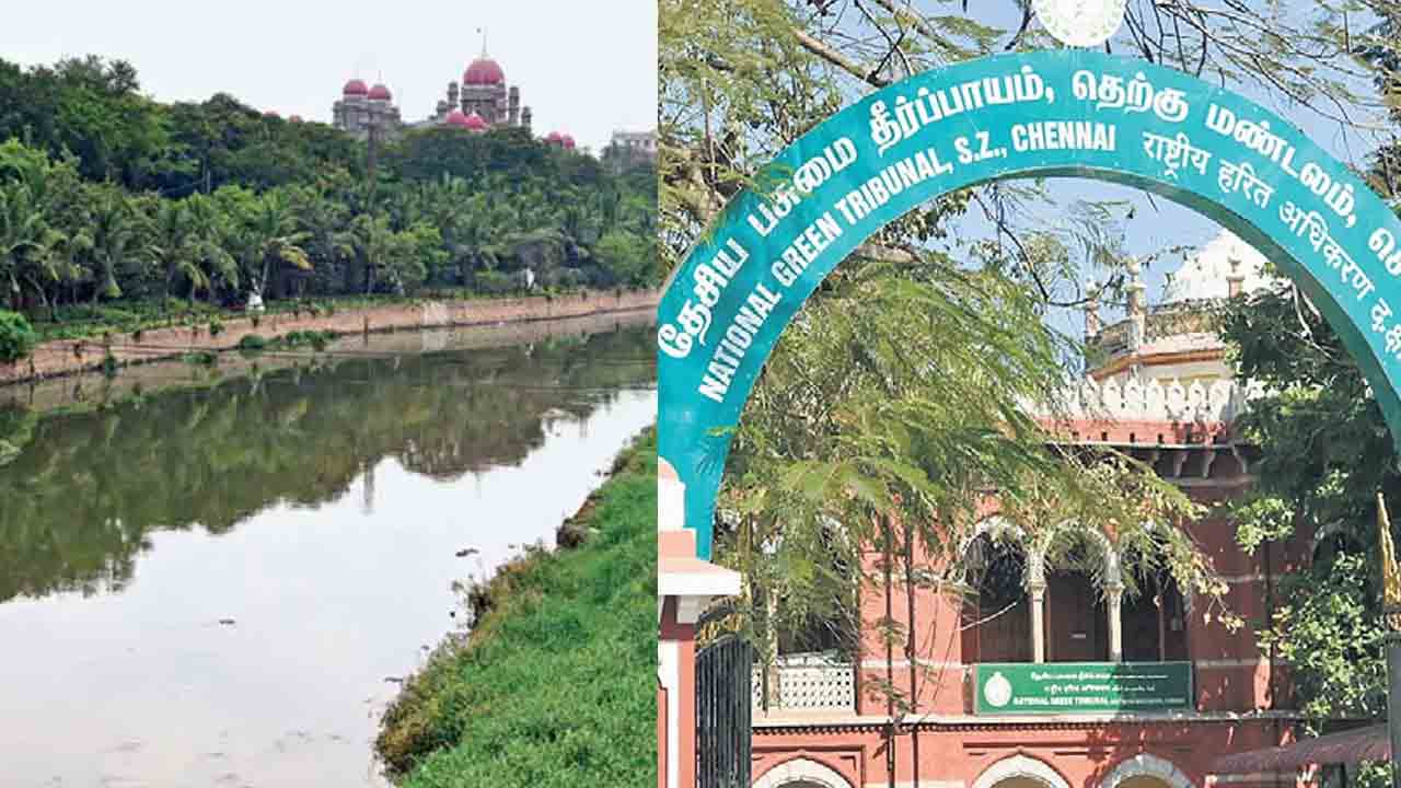 మూసీ ప్రాజెక్ట్‌లో అక్రమాలుంటే విచారణ చేస్తాం.. తేల్చి చెప్పిన జాతీయ హరిత ట్రిబ్యునల్‌ చెన్నై బెంచ్‌