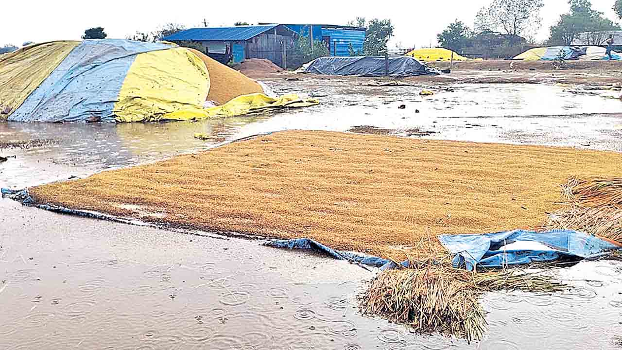 వడగండ్లు.. రైతులకు కడగండ్లు!