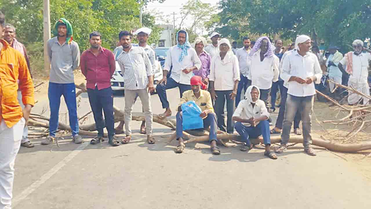 మక్కలు, పొద్దుతిరుగుడు కొనుగోలు చేయాలి