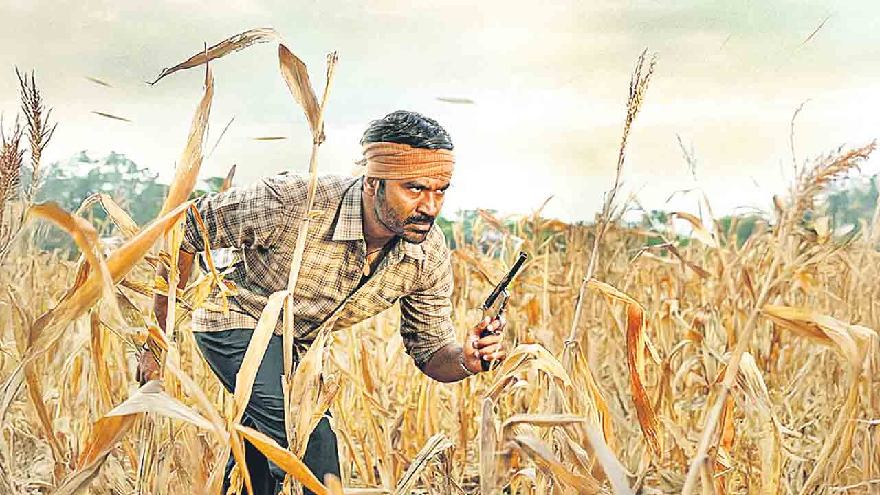 పత్తి రైతు కథ కర