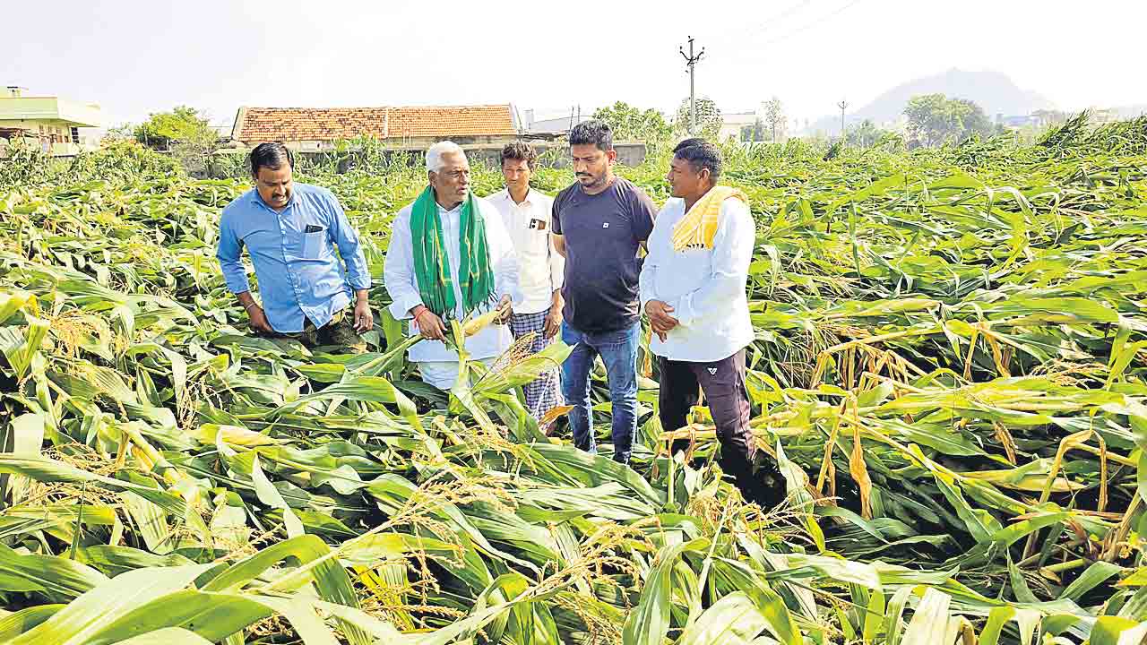 ఎకరాకు 20వేల పరిహారం ఇవ్వాలి.. రైతు భరోసా అమలు చేయాలి మాజీ మంత్రి టీ జీవన్‌రెడ్డి