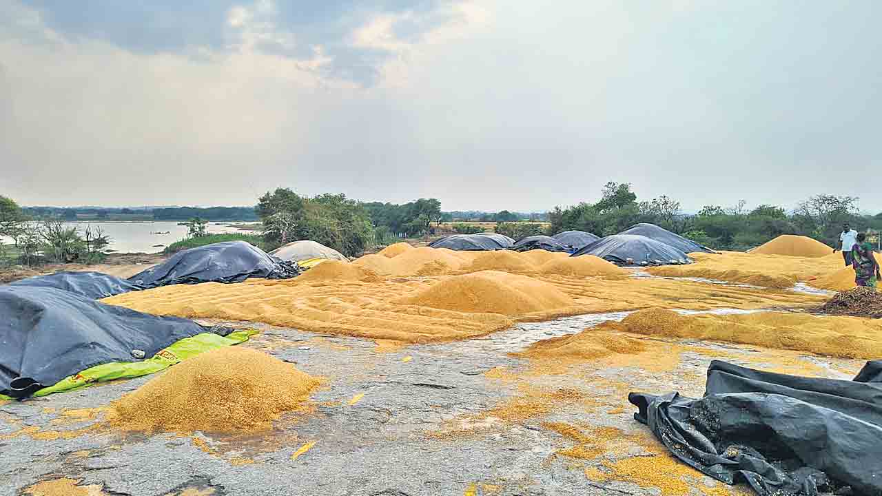 అకాల వర్షం.. తడిసిన ధాన్యం.. మంచిర్యాలలో పిడుగుపడి రెండెకరాల్లో మక్కపంట దగ్ధం