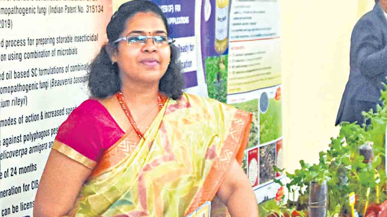 సాగుబడిలో పూర్ణ చంద్రిక