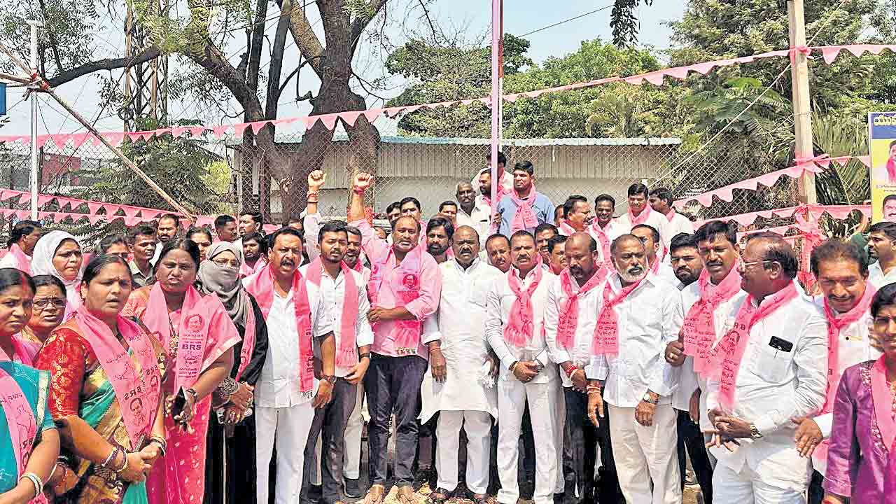 రెపరెపలాడిన గులాబీ జెండా