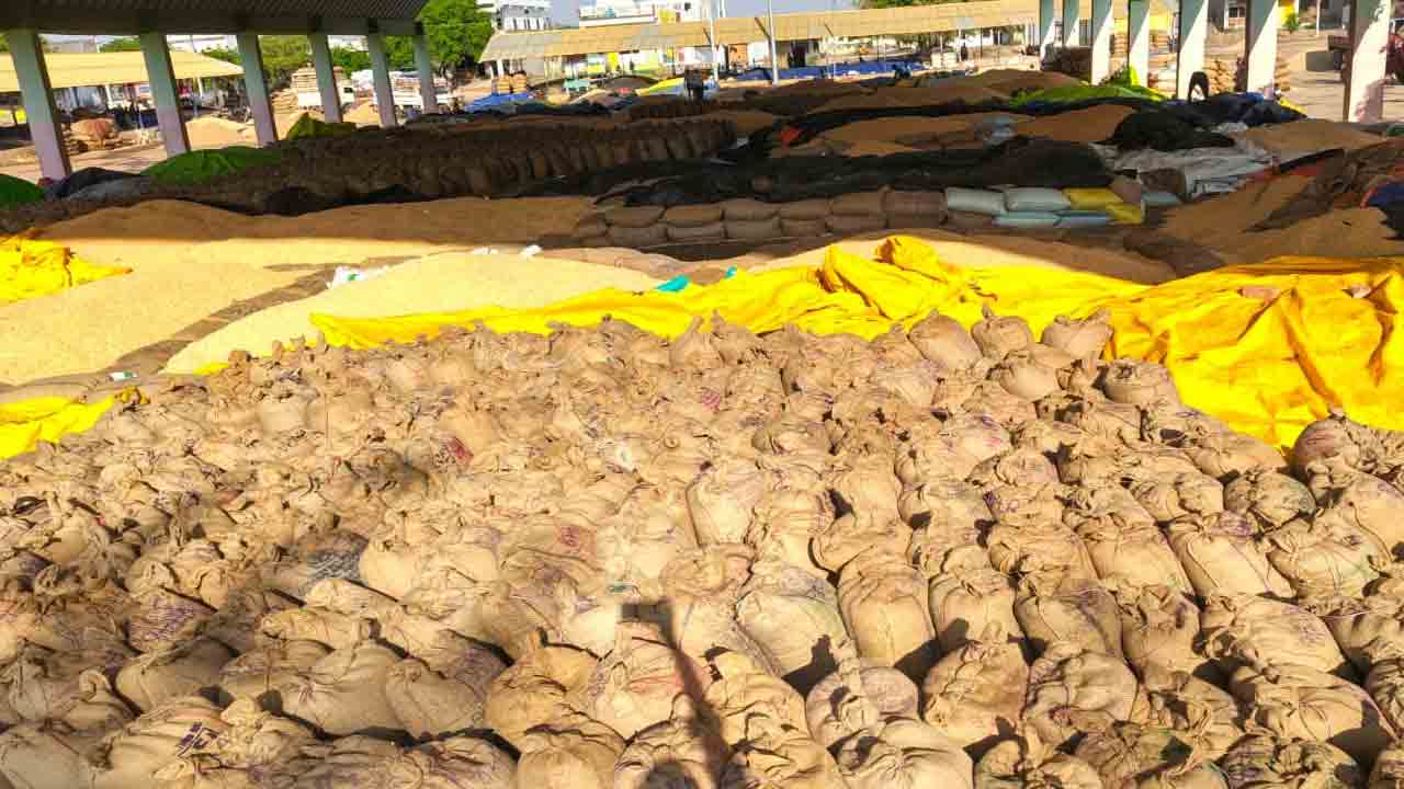 గన్నీ గోస