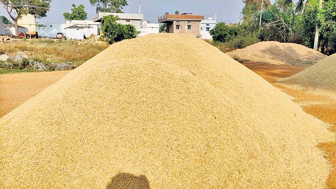 కల్లాల్లోనే ధాన్యం..