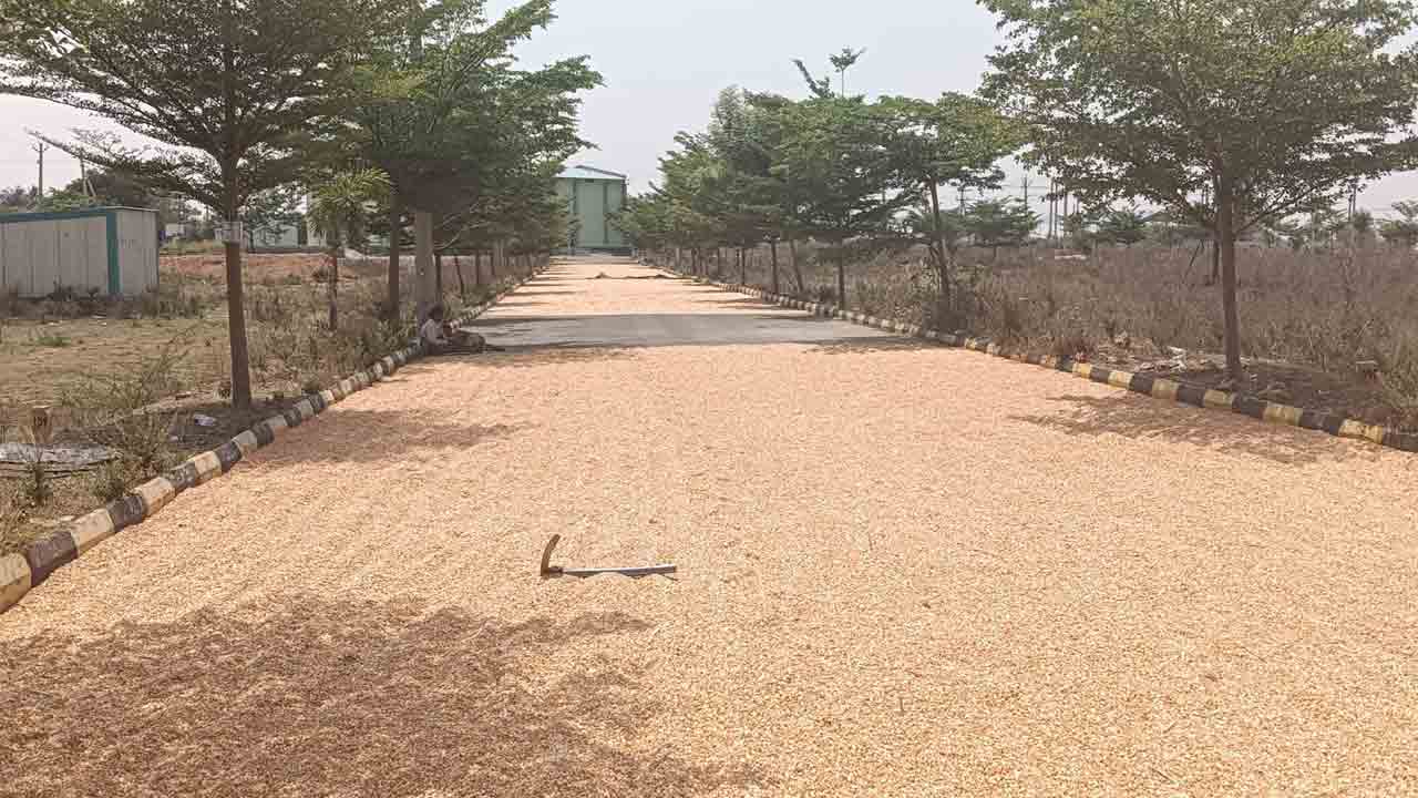 కొనుగోలు కేంద్రాల ఏర్పాటెప్పుడో..?