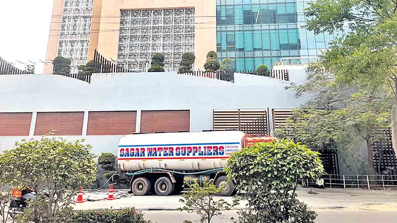 నగరంలో నీటి జలగలు