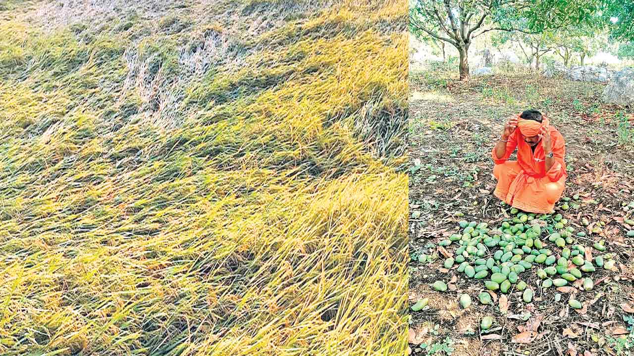 రైతును ముంచిన వడగండ్ల వాన