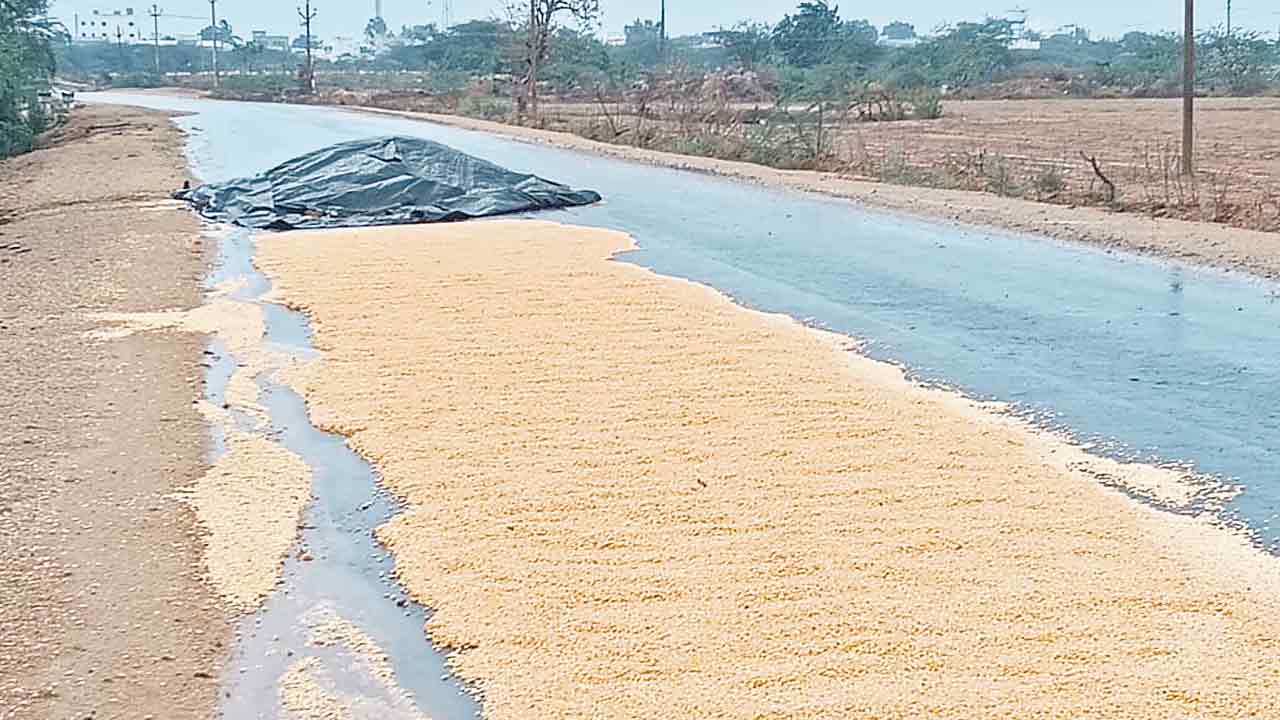 వడగండ్లకు దెబ్బతిన్న పంటలు