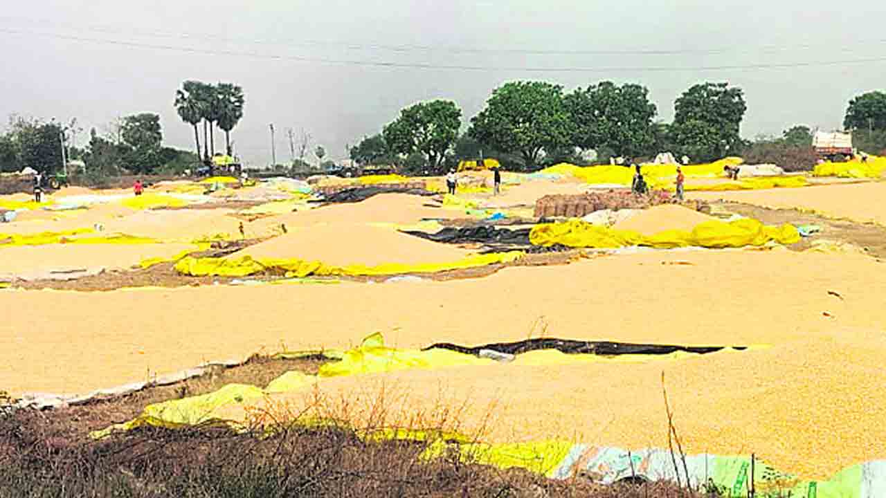 మక్క రైతుకు దూర భారం!