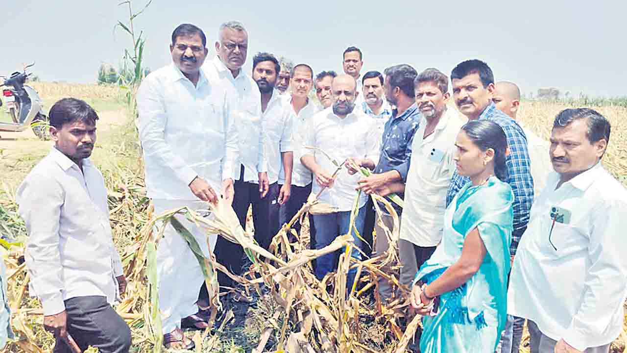 ఎకరాకు రూ.50వేలు పరిహారం అందజేయాలి