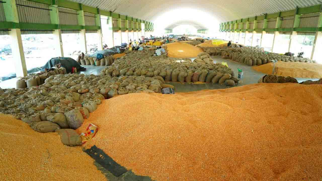 దిక్కుమొక్కలేకుండా..