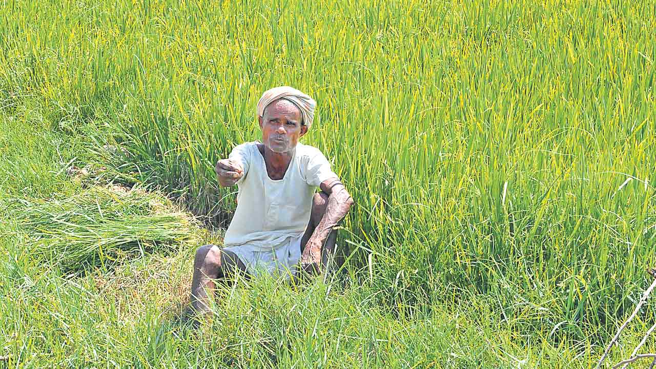 కాళేశ్వరం నీళ్లు ఇవ్వక రైతుల కన్నీరు