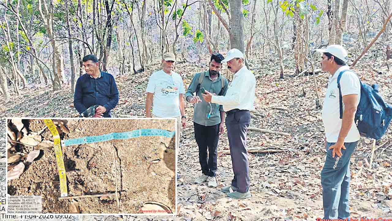 మాచారెడ్డి ఫారెస్ట్ రేంజ్ పరిధిలో పెద్దపులి సంచారం