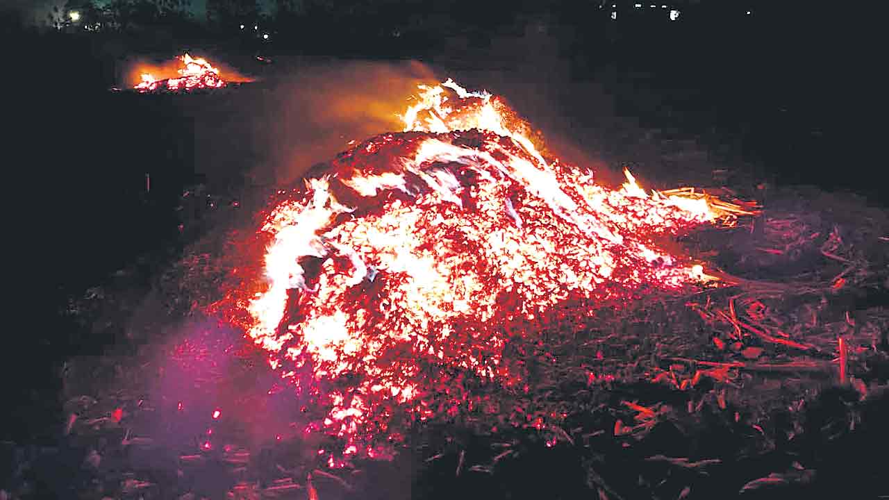 మక్క పంట అగ్నికి ఆహుతి