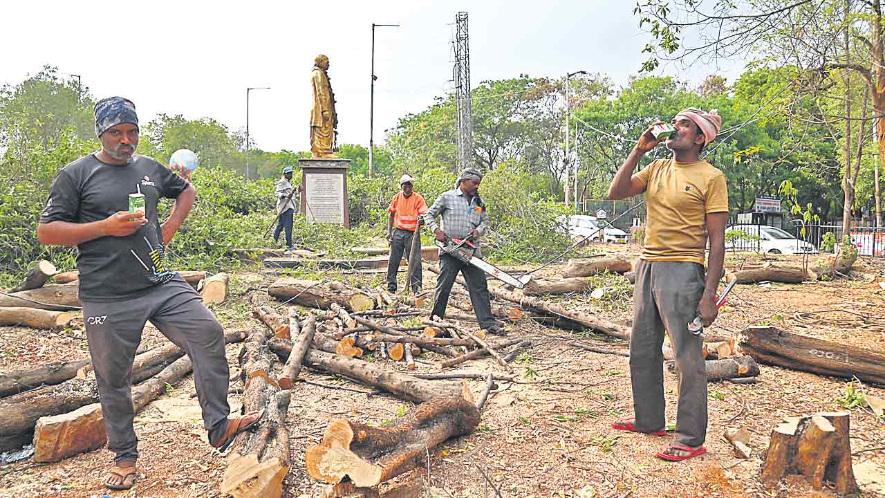 పచ్చదనంపై గొడ్డలి వేటు!