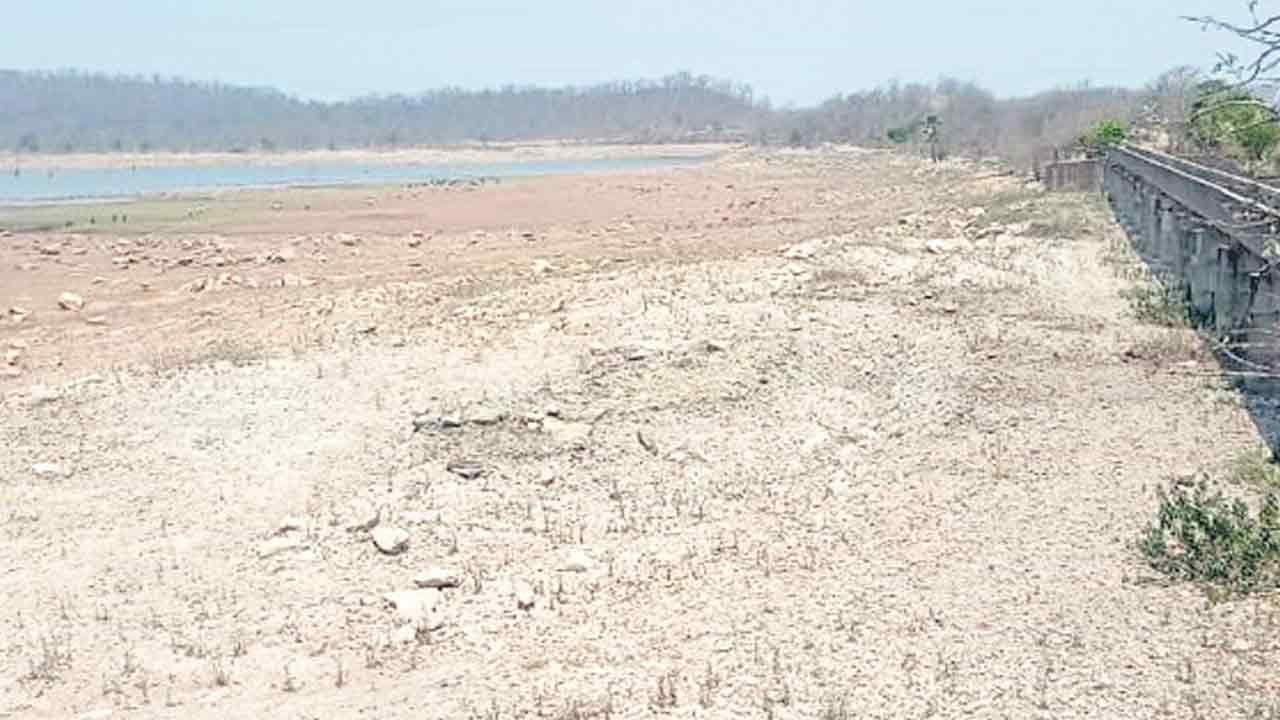 చెలిమెల..విలవిల !