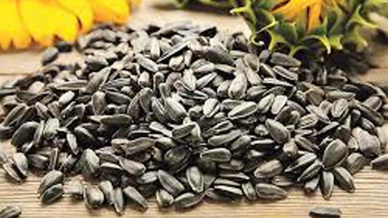 నూనె గింజల సాగు పెరగాలి