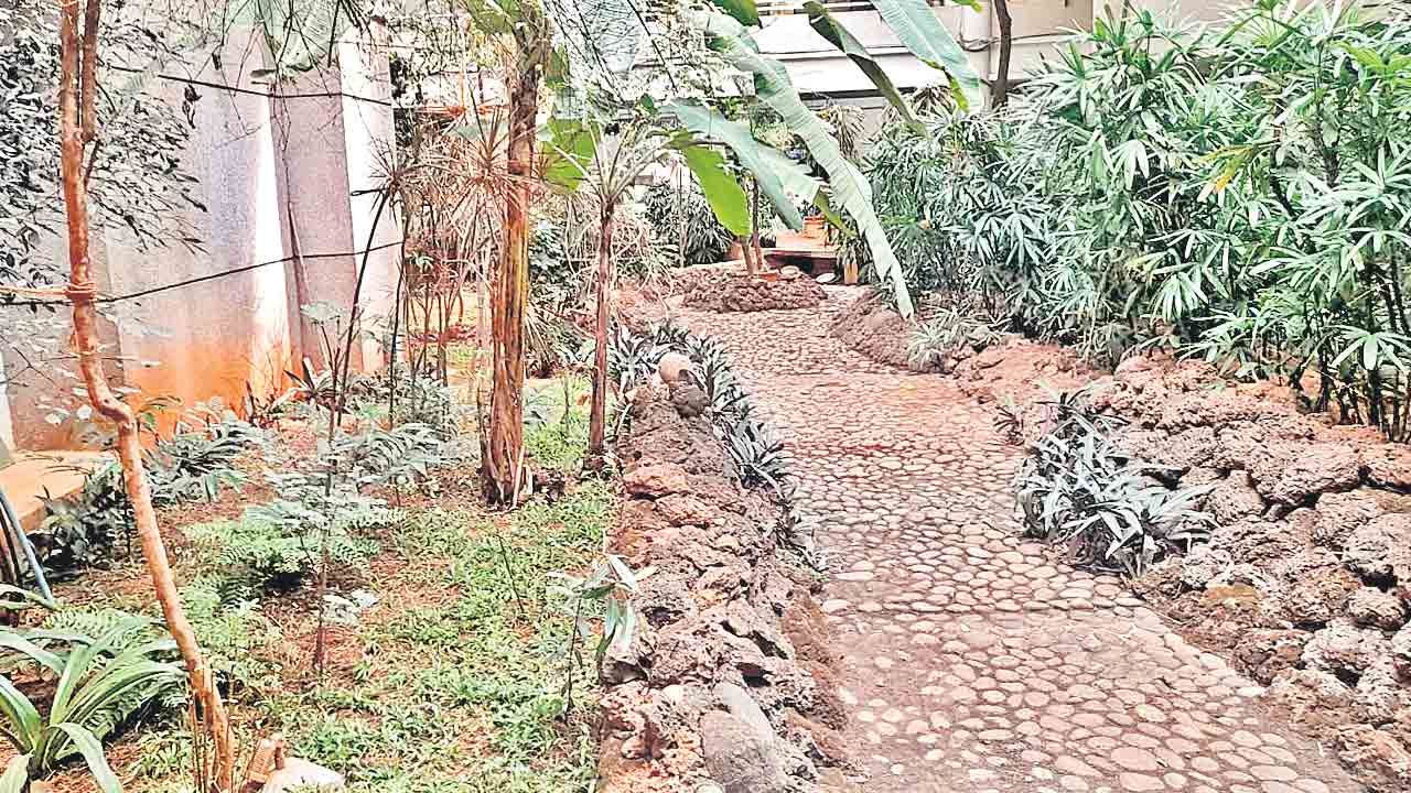 అందినకాడికి లూటీ