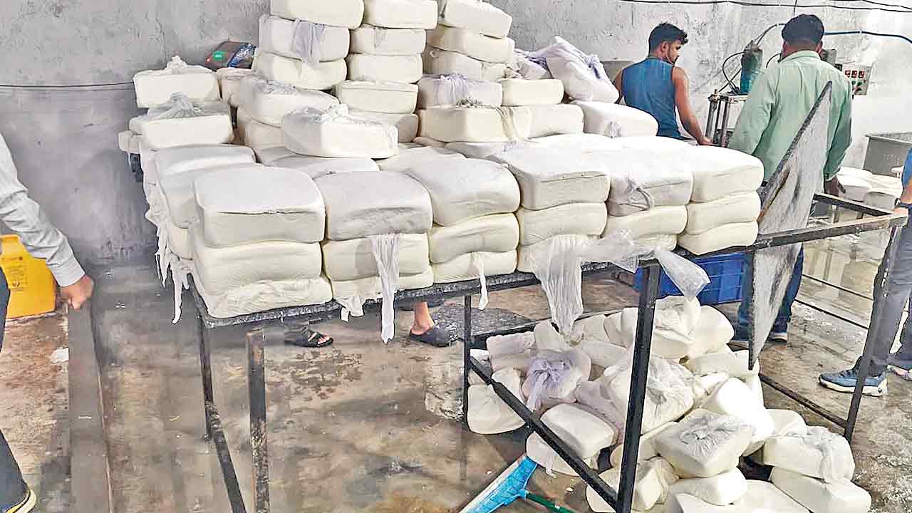 సర్వం కలీమయం!