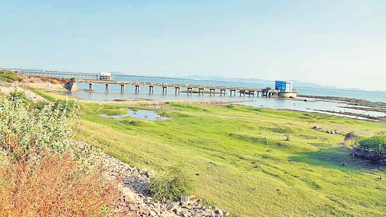 Yellampalli Project | ఎల్లంపల్లిలో డేంజర్‌ బెల్స్‌.. సగానికిపైగా తగ్గిన నీటి నిల్వ