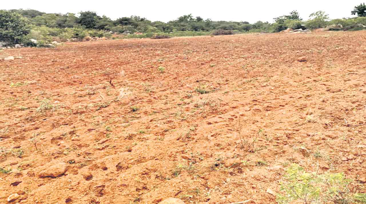 Samsthan Narayanpur | గిరిజనుల భూములపై కాంగ్రెస్‌ కత్తి.. పోలీస్‌ బెటాలియన్‌ పేరుతో కొల్లగొట్టే కుట్ర