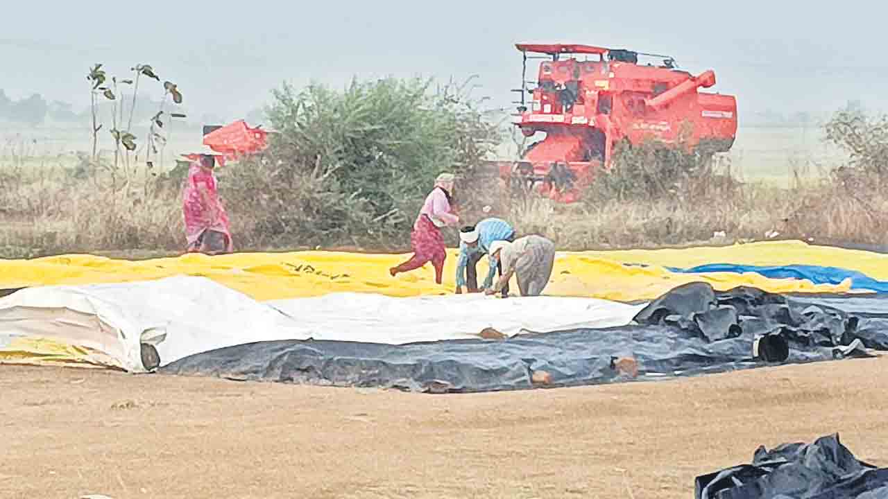 వడగండ్ల వాన.. పంటలకు నష్టం