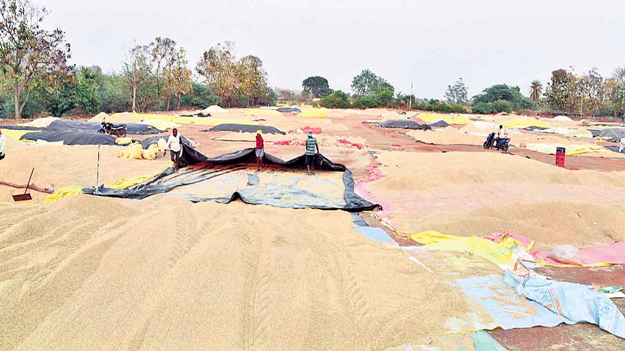 కొనుగోళ్లలో కొర్రీలు.. రైతన్న దిగాలు