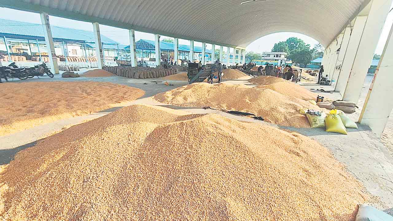 మక్క కొనుగోళ్లకు గన్నీ గ్రహణం