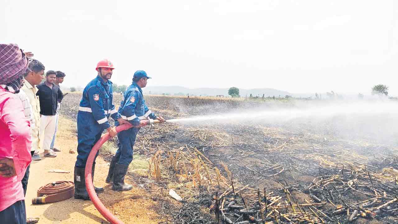 విద్యుదాఘాతంతో పంటలు కాలిబూడిద