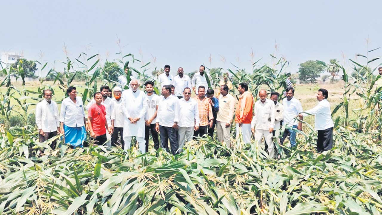 నష్టపోయిన రైతులను ఆదుకోవాలి