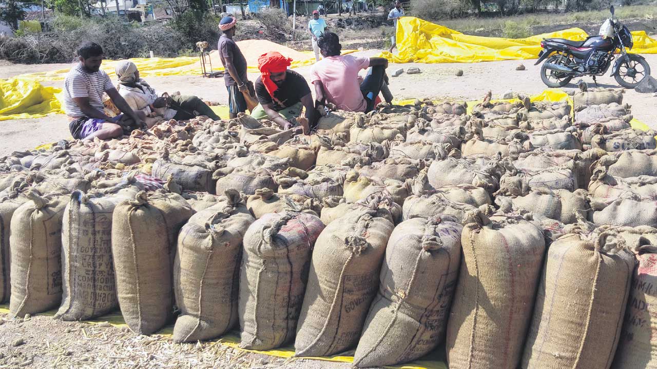 మక్క రైతుకు ఆశనిపాతం