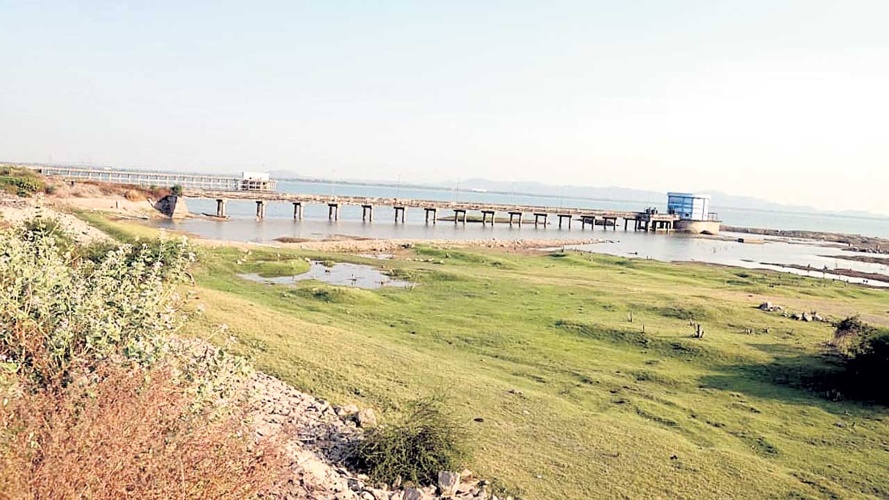 అడుగంటుతున్న ఎల్లంపల్లి