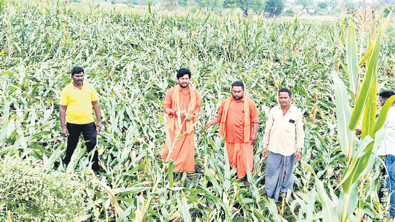 తీరని నష్టం