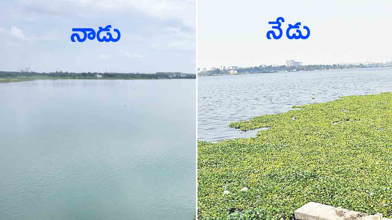 కాలుష్య కాసారం.. అమీన్‌పూర్‌ చెరువు.. దేశంలోనే మొట్టమొదటి జీవ వైవిధ్య సరస్సు