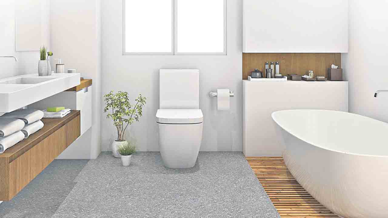 లోబడ్జెట్‌లోనే బాత్రూమ్‌ క్లీన్‌