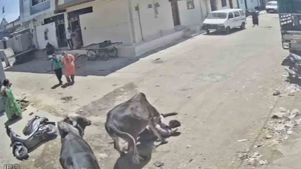 Watch: స్కూటీపై వెళ్తున్న వ్యక్తిపై ఎద్దు దాడి.. తర్వాత ఏం జరిగిందంటే?