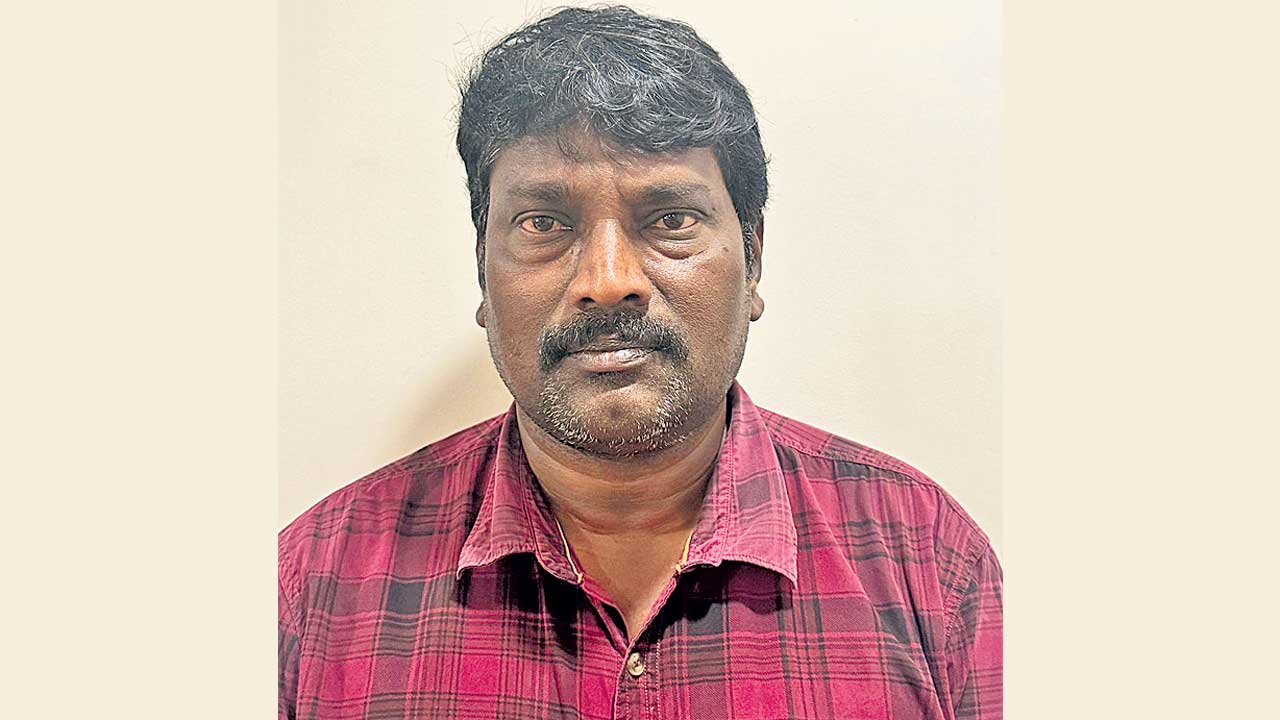 రేణుదేశాయ్‌పై అసభ్యకర పోస్టులు